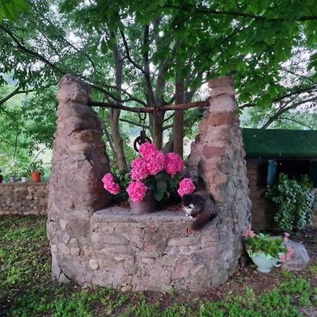 Agriturismo Case In Collina 볼타 만토바나 외부 사진